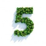 Five things we learned this week …..