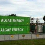 Algae.Tec to build European algae fuel plant for Lufthansa