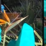 Semitransparent solar cells: a window to the future?