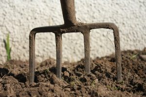 Soil carbon: time to bury the emissions problem