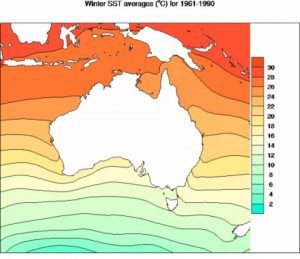 State of the Climate: Record high carbon and a hotter, drier Australia