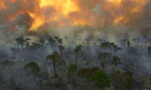 How ocean warming is priming the Amazon for fire