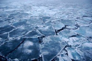 Arctic melt could cost global economy $60 trillion: report