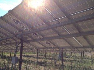 How a community solar scheme is turning sunshine into dollars