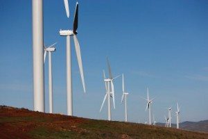 Wind seen beating solar in renewable energy contest