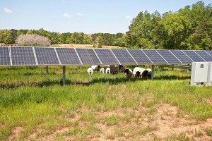 Small-scale solar PV booming in the US