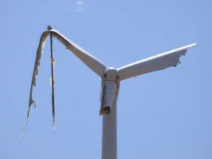 The wind farms that Baillieu killed…
