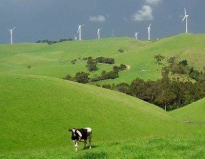 Four easy ways to grow renewable energy in Victoria