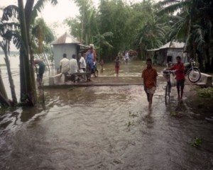 Climate change costing global economy $1.2 trillion: report