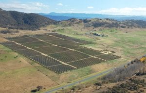 FRV to build 20MW solar PV plant after winning ACT auction