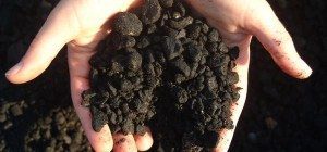 Biochar: No magical carbon cure, but plenty of potential