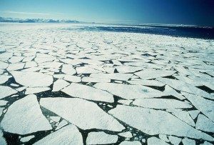 On thin ice: Time-frame to save the Arctic is melting away