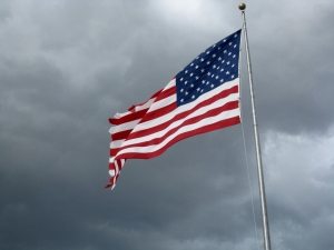 US elections and environment: the politics and policy fundamentals