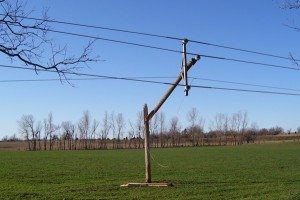 Why 80% of regional energy customers are happy to leave the grid