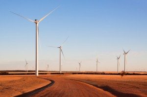 WA’s largest wind farm launches new company to expand clean energy portfolio