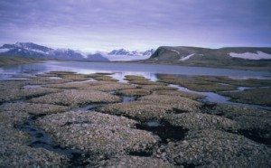 UN report warns of catastrophic loss of permafrost