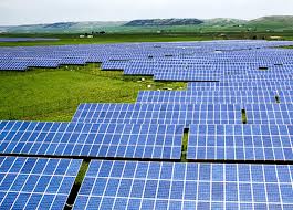 Yingli takes low road in solar price war