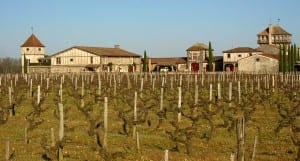 French vineyard to turn carbon emissions into toothpaste