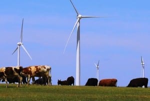 EnergyAustralia signs PPA for Gullen Range wind farm