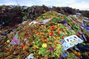 “13 Olympic pools of fat and waste:” Queensland to burn food for power