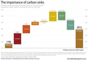 Graph of the Day: The importance of carbon sinks