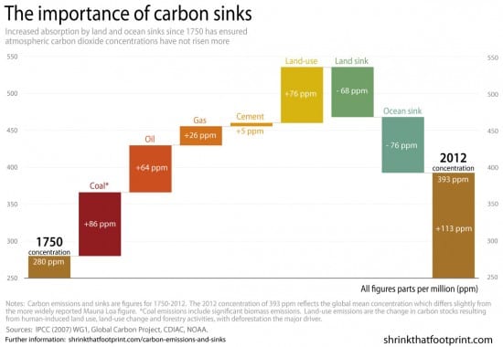 graph-of-the-day-the-importance-of-carbon-sinks-reneweconomy