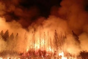 Trumped up: IPCC confirms Morrison is fiddling while the country burns