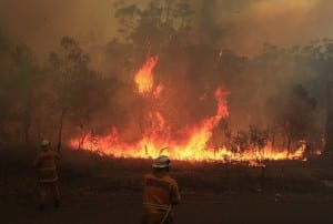 Let’s talk bushfires and climate politics