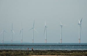 UK wind farms deliver record 37% of nation’s electricity