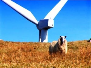 Can renewables provide Australia’s next ‘sheep’s back’?