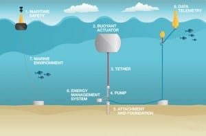 CETO wave energy machine swept away in cyclone, report says