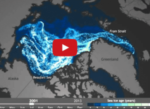 Watch 27 years of ‘old’ Arctic ice melt away in seconds