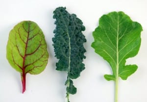 Mixed Greens: Big boost in tech competition entries