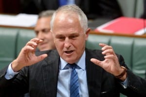 An assertive Turnbull steps out and shapes up