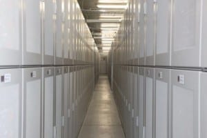 Largest battery storage project opened in North America