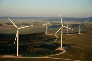 ACT delays results of 200MW wind energy auction