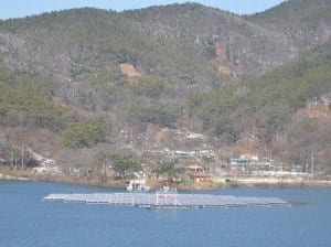 Sunflower launches floating solar power plant in Korea