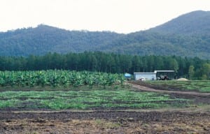 Jobs versus the environment: the debate Queensland can end