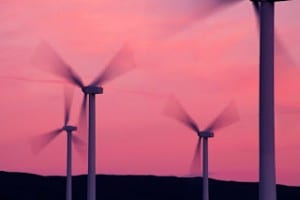 Anti-wind Senators compare turbines to tobacco, pink bats