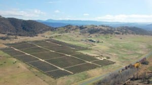 Australia’s largest community solar farm proposed for ACT