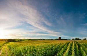 A small Iowa town embraces energy independence