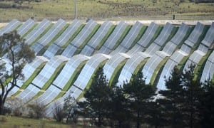 Sugar vs solar: Qld govt weighs in on legal challenge to solar farm