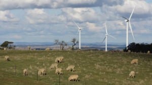 NSW health minister says concerned about impact of wind farms