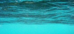 Underwater solar cells turn greenhouse gases into ‘solar fuel’