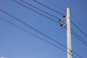 Real world caveats to electricity network tariff design