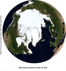 Arctic sea ice hits record low peak, again