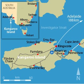 Should Kangaroo Island cut itself off from the main grid?