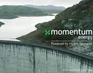 Momentum fined for misleading consumers on renewable electricity