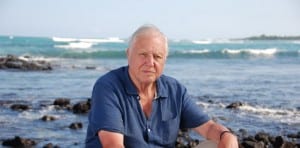 When David Attenborough says Great Barrier Reef in ‘grave danger’ – it’s time to step up