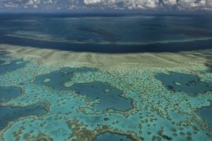 Why Great Barrier Reef world heritage site is at risk from global warming